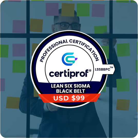 Lean Six Sigma Black Belt Professional Certification – (LSSBBPC)(Solo Examen)