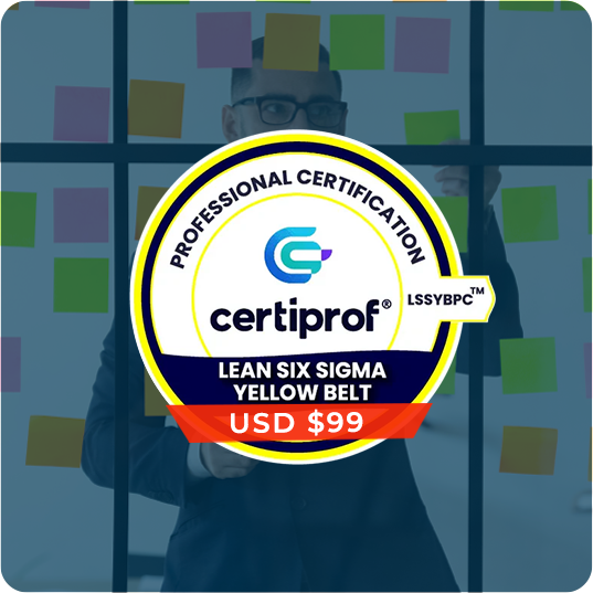Lean Six Sigma Yellow Belt – (LSSYBPC) (Solo Examen)