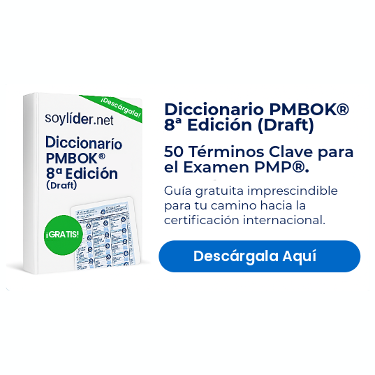 DICCIONARIO PMP® 50 TÉRMINOS QUE DEBES DOMINAR PARA PASAR EL EXAMEN
